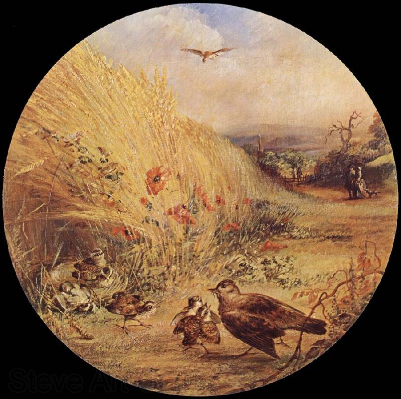 William Dexter Wheatfield with bird-s nest Spain oil painting art